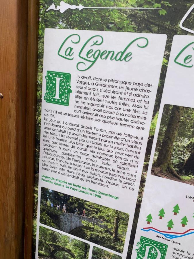 Charmant Appartement A Gérardmer Εξωτερικό φωτογραφία